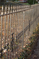 Automated Wrought Iron Driveway Gate